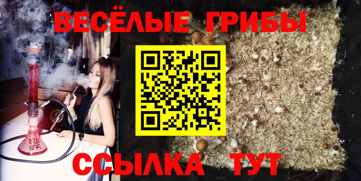 закладка  Псилоцибиновые грибы прущие грибы  Вход с VPN  Сосновый Бор 